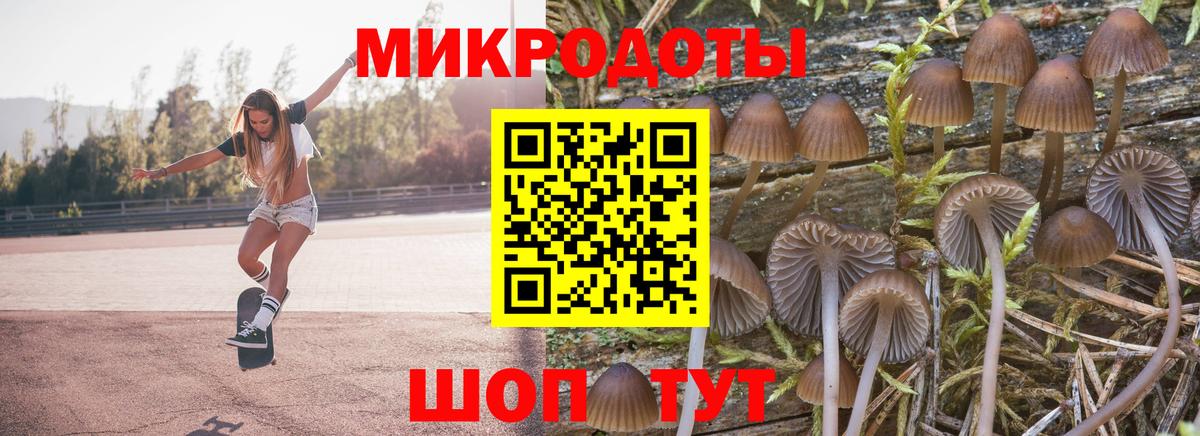 Псилоцибиновые грибы мицелий Кыштым
