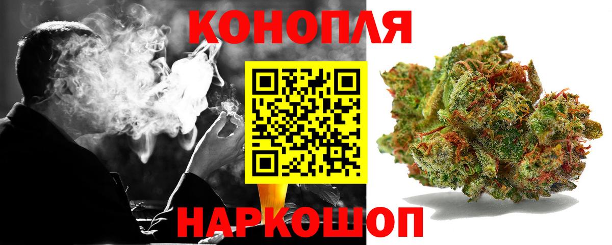 Конопля гибрид Кыштым
